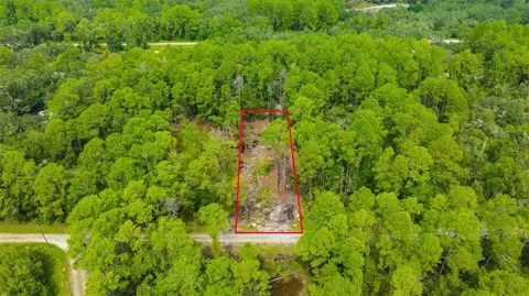 34389 Grindstone Dr, Webster, FL 33597 photo 18