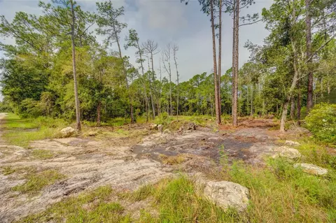 34389 Grindstone Dr, Webster, FL 33597 photo 9