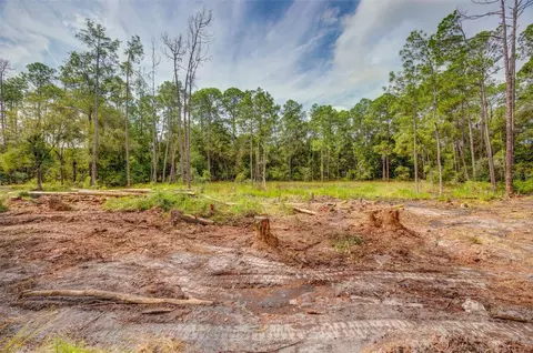 34389 Grindstone Dr, Webster, FL 33597 photo 6