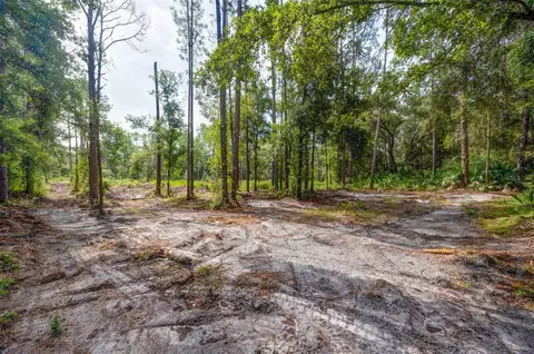 34389 Grindstone Dr, Webster, FL 33597 photo 5