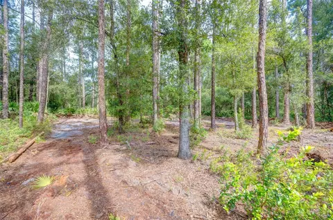 34389 Grindstone Dr, Webster, FL 33597 photo 3