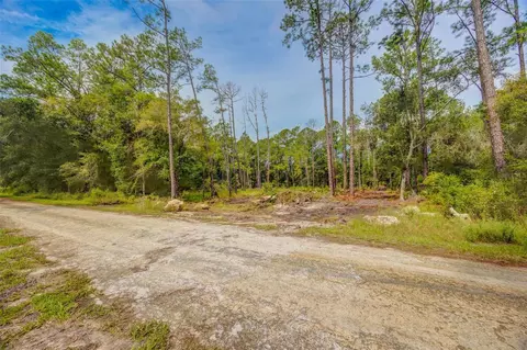 34389 Grindstone Dr, Webster, FL 33597 photo 10