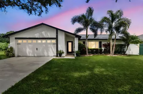17630 Meadowbridge Dr, Lutz, FL 33549
