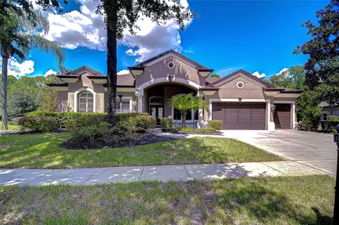 21327 Lake Vienna Dr, Land O Lakes, FL 34638