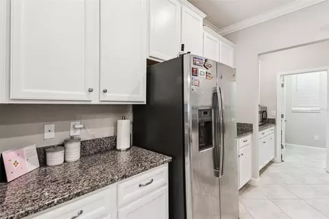 Other - 24928 Lambrusco Loop, Lutz, FL 33559 photo 4 of 16