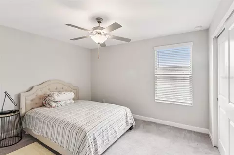 Bedroom - 24928 Lambrusco Loop, Lutz, FL 33559 photo 9 of 18