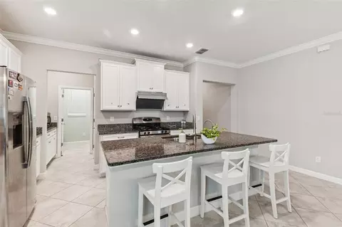 Kitchen - 24928 Lambrusco Loop, Lutz, FL 33559 photo 6 of 13