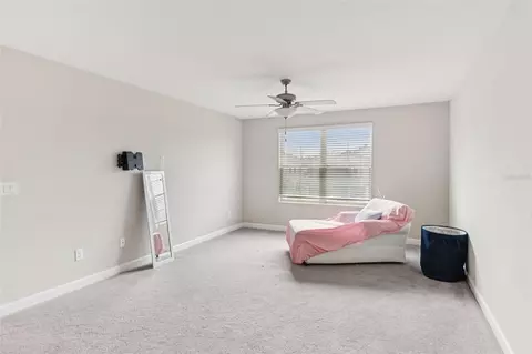 Bedroom - 24928 Lambrusco Loop, Lutz, FL 33559 photo 5 of 18