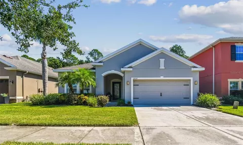 20237 Autumn Fern Ave, Tampa, FL 33647