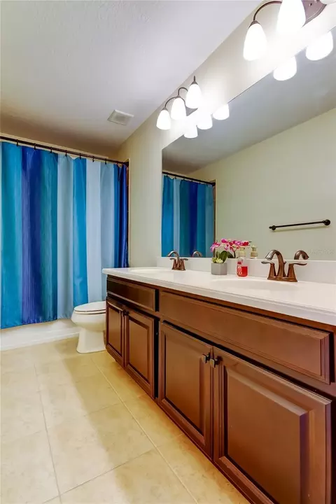 Bath - 12307 Juniper Field Ct, Riverview, FL 33579 photo 7 of 8