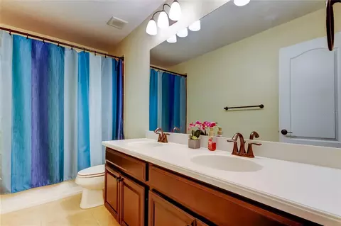 Bath - 12307 Juniper Field Ct, Riverview, FL 33579 photo 5 of 8
