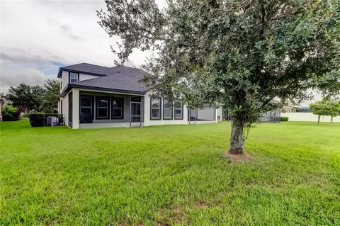Exterior - 12307 Juniper Field Ct, Riverview, FL 33579 photo 13 of 15