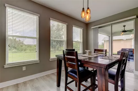 Dining - 12307 Juniper Field Ct, Riverview, FL 33579 photo 7 of 8