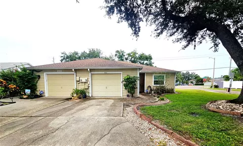 4413 Hollow Branch Ct, Tampa, FL 33624