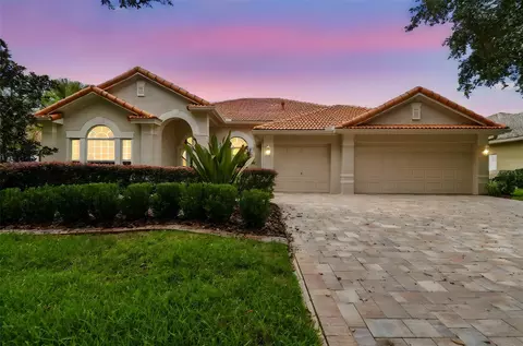10218 Waterside Oaks Dr, Tampa, FL 33647