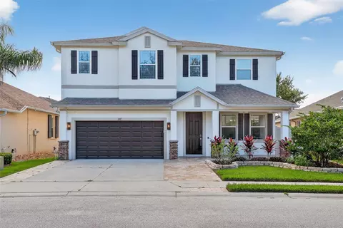 1147 Halapa Way, Trinity, FL 34655