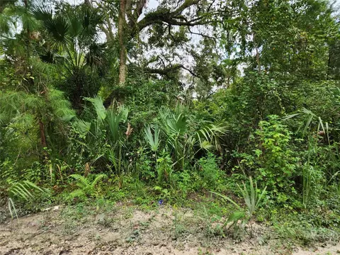 13046 E Shawnee Trl, Inverness, FL 34450