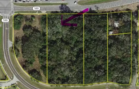 Philippe, Safety Harbor, FL 34695