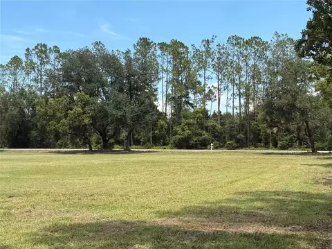 Bellamy Brothers Boulevard, Dade City, FL 33525