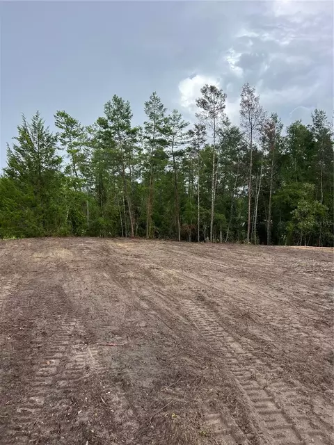Se 8th St, Morriston, FL 32668