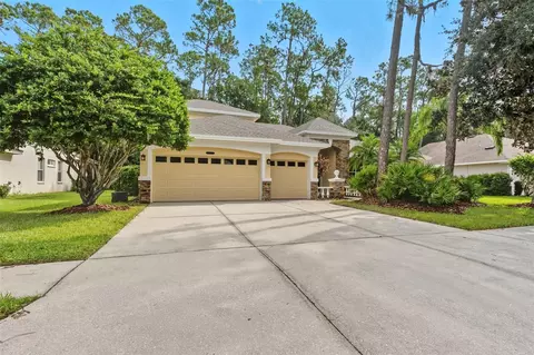 5108 Dunham Creek Pl, Brandon, FL 33511