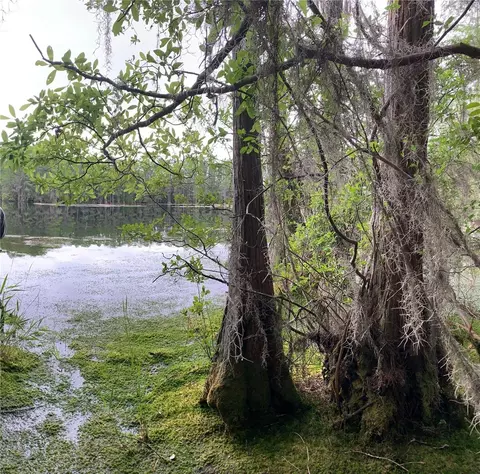 Sw Tower Road, Lee, FL 32059