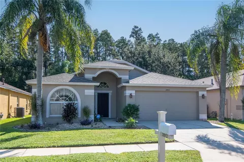 30912 Burleigh Dr, Wesley Chapel, FL 33543