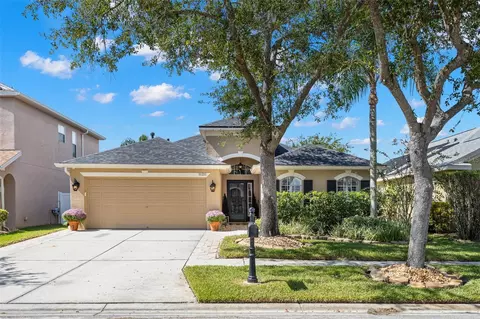 11211 Cypress Reserve Dr, Tampa, FL 33626