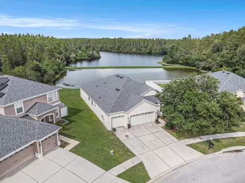 3355 Chessington Dr, Land O Lakes, FL 34638