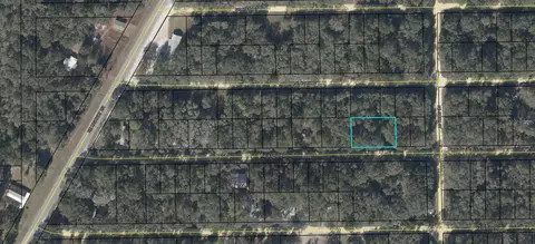 NE 472nd Avenue, Old Town, FL 32680