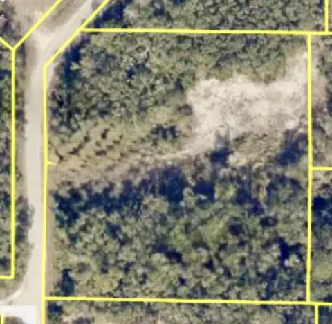 9280 Rousseau St, Webster, FL 33597