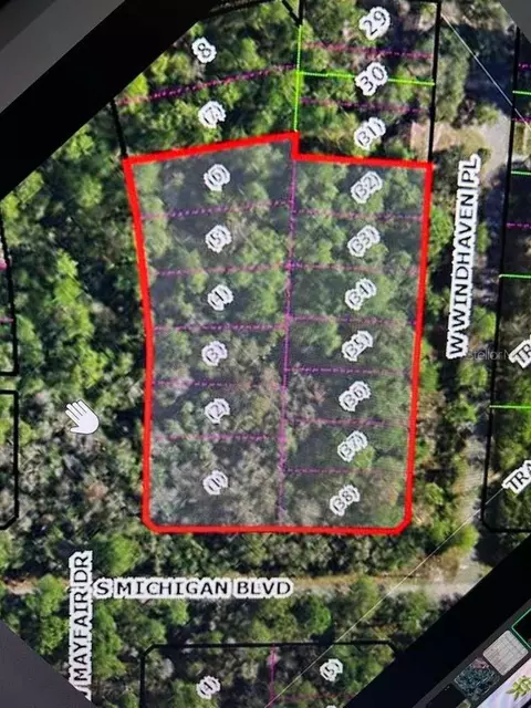 3411 S Michigan Blvd, Homosassa, FL 34448