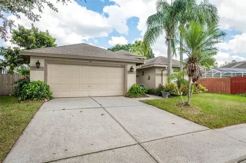 6038 Wesley Brook Dr, Wesley Chapel, FL 33545