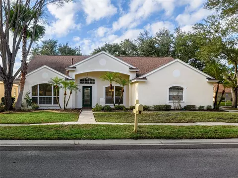 10117 Whisper Pointe Dr, Tampa, FL 33647