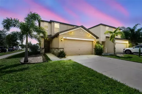 7423 French Marigold Ave, Tampa, FL 33619