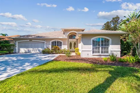 19417 Morden Blush Dr, Lutz, FL 33558