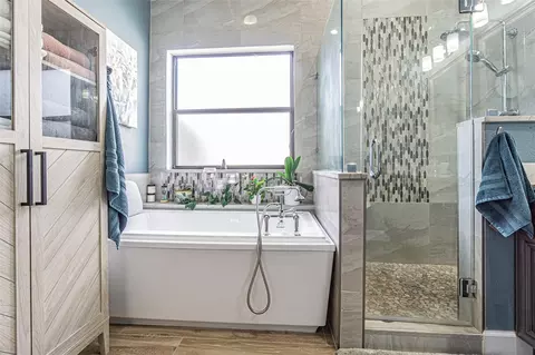 Bath - 9809 La Rita Pl, Riverview, FL 33569 photo 3 of 10