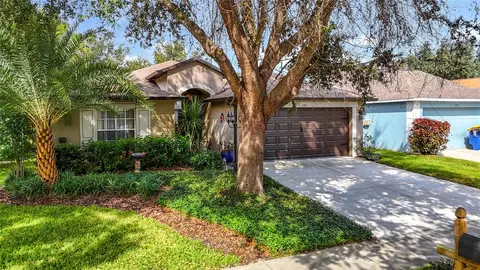 1311 Salt Clay Ct, Wesley Chapel, FL 33544