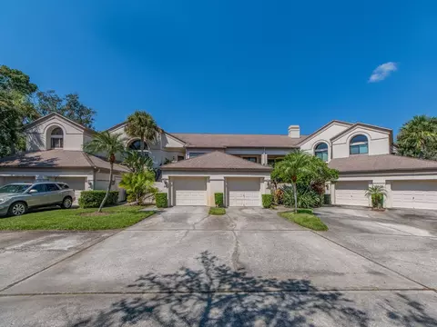 3636 Oak Haven Dr #102, Palm Harbor, FL 34684