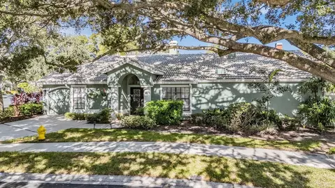 407 Georgetown Pl, Safety Harbor, FL 34695