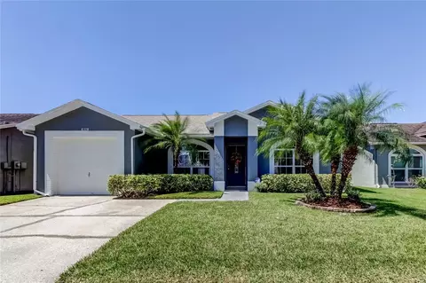 10112 Sea Spray Pl, Tampa, FL 33624