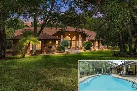 6491 Laurel Oak Dr, Spring Hill, FL 34607