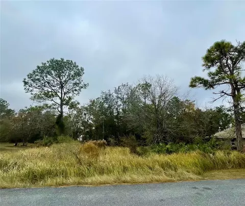 lot16 Golden Warbler Rd, Weeki Wachee, FL 34613