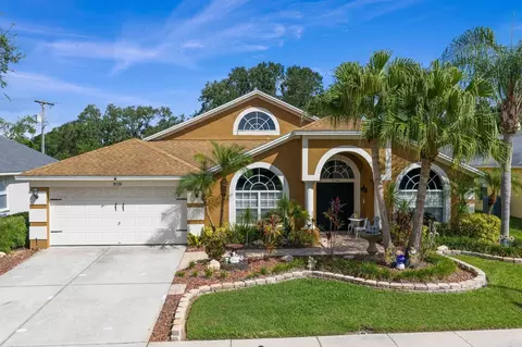 9136 Rockrose Dr, Tampa, FL 33647