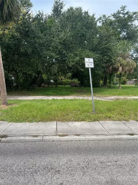 Martin Luther King Jr Avenue, Clearwater, FL 33755