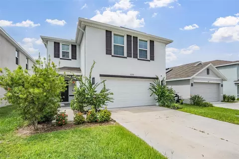 12175 Water Ash Pl, Riverview, FL 33579