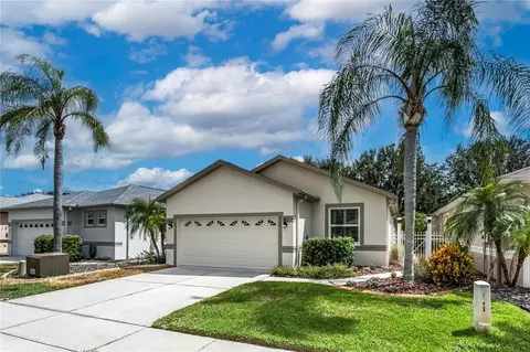 8128 Ambersweet Pl, Land O Lakes, FL 34637