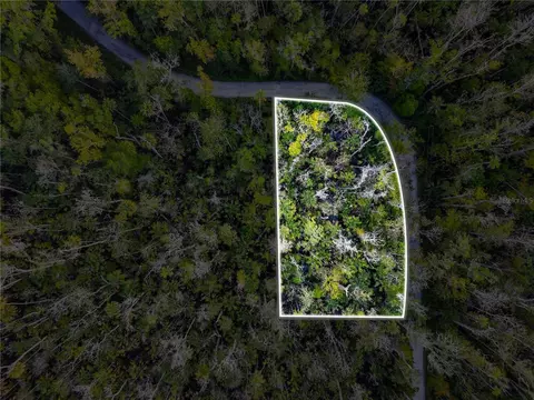 4441 S Lewoods Dr, Homosassa, FL 34448