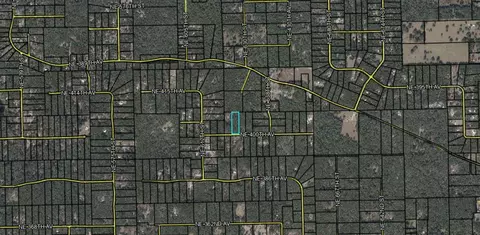 Ne 400 Ave, Old Town, FL 32680