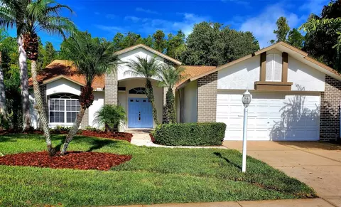 1517 Morning Rose Pl, Trinity, FL 34655